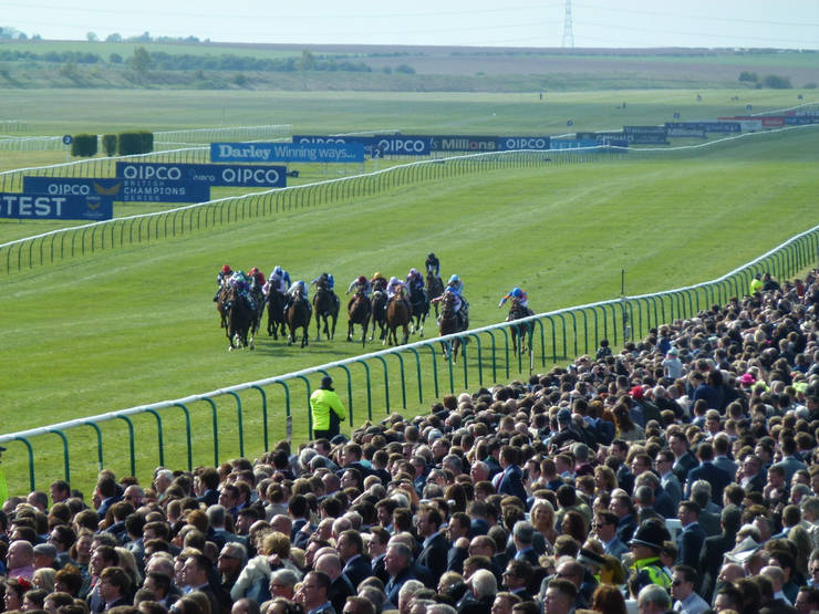 Horses Racing in the 2000 Guineas