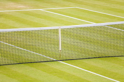 Grass Tennis Court and Net