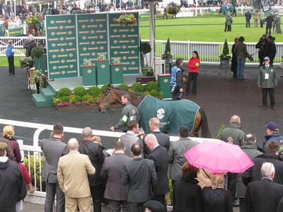 Don't Push It in the Aintree Winners Enclosure
