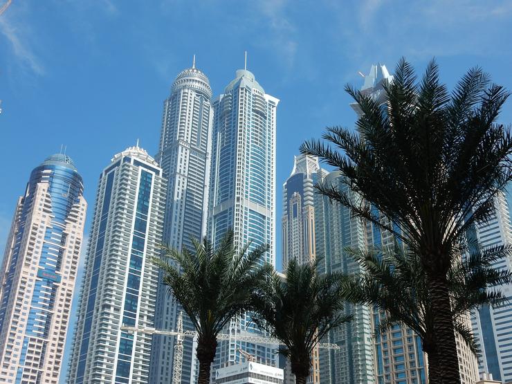 Dubai Skyscrapers Through Palm Trees