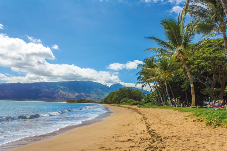 Maui Beach View