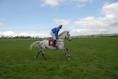Punchestown Horse and Rider