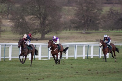 Towcester Horses Racing to Finish Line