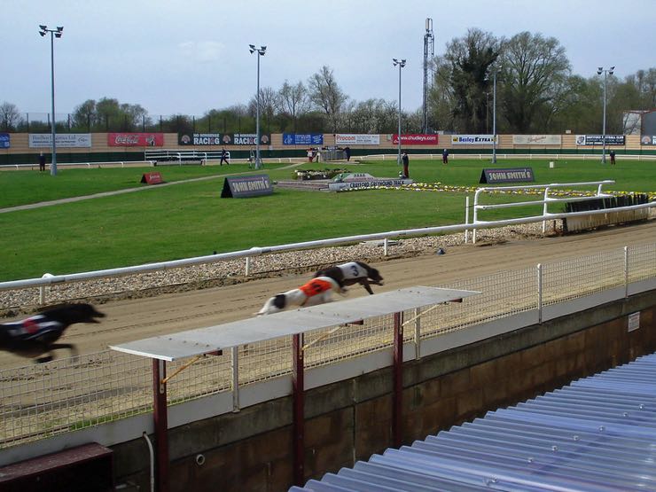 Crayford Greyhound Stadium racing