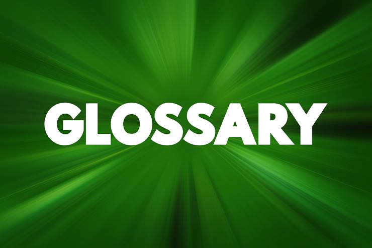 Glossary text