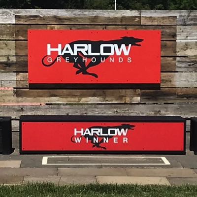 Harlow Greyhounds winning post