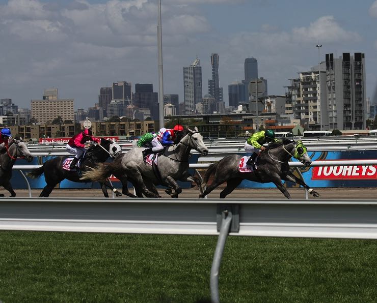 Horse race in Melbourne