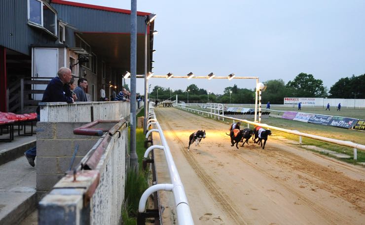 Suffolk Downs greyhounds racing