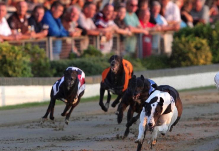 Yarmouth greyhounds cheered on by crowds